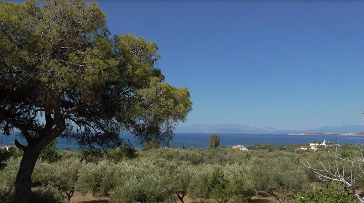 Το Κτήμα Της Ελιάς Του Τάκη Affittacamere Paralia Demonias Esterno foto